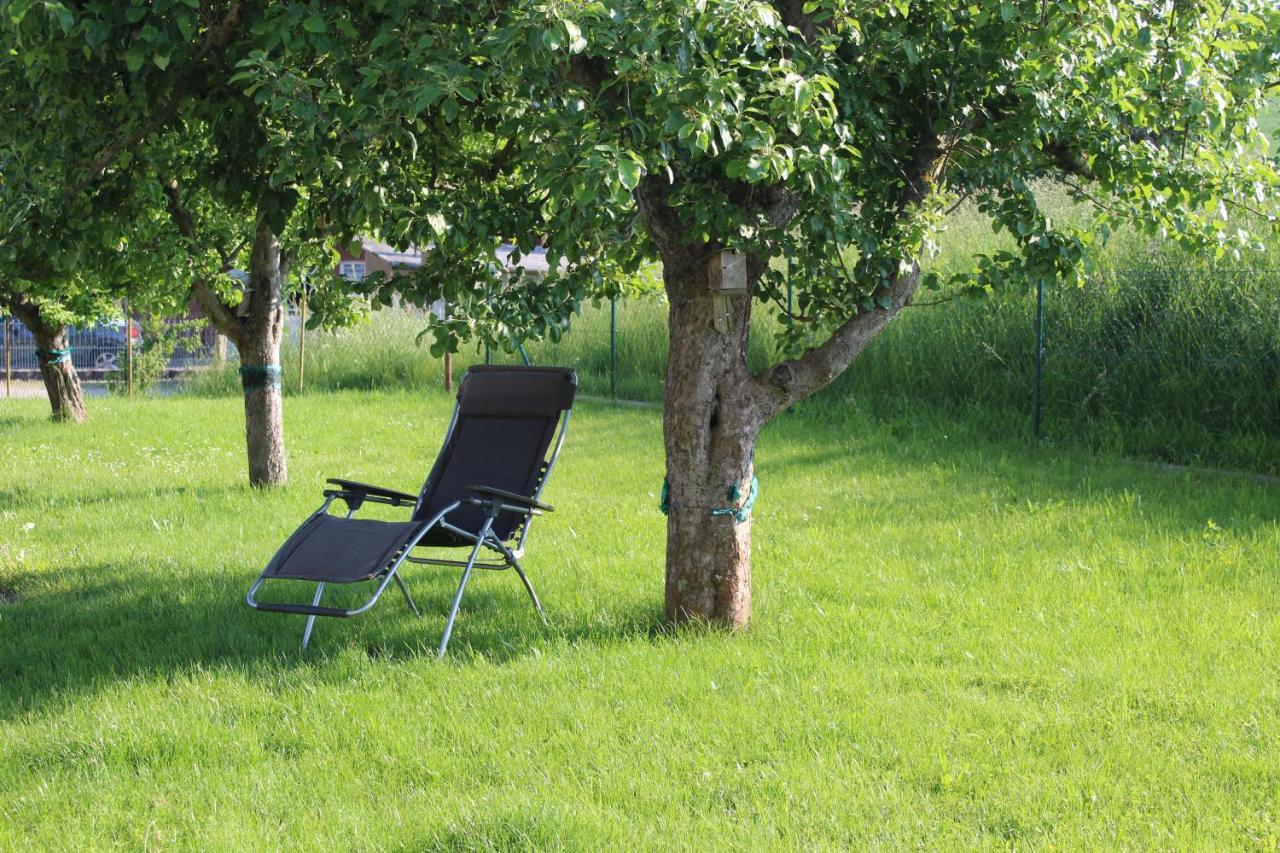 Ferienwohnung Am Kugelbaum Lunzenau المظهر الخارجي الصورة